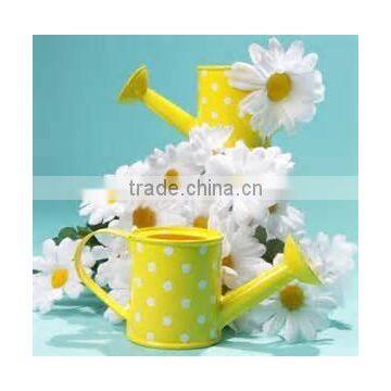 Polka Dot Eco-friendly Watering Can/ Eco-friendly Metal Flower Pot Garden Decoration Kids Toy Water Can