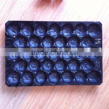 2016 Main Promotion Europe Market Popular Food Grade Polypropylene Fruit Nest Tray Made in China photo-6