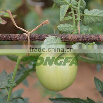 15cm Pre Cut Biodegradable Natural Twisted Paper Binding Rope for Agriculture photo-5