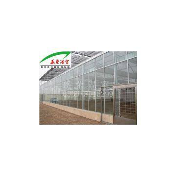 Glass Greenhouse photo-2