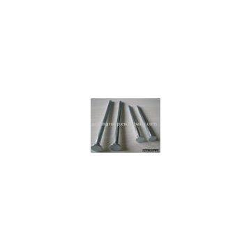 galvanized nail,galvanized wire nail,steel nails