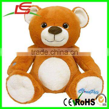 12inch Huggable Talking Teddy Bear to Keep in Touch