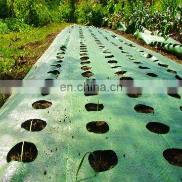 Weed barrier fabric agricultural plastic ground cover