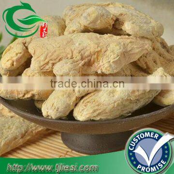 supply ginger / ginder pwder for pungent spice