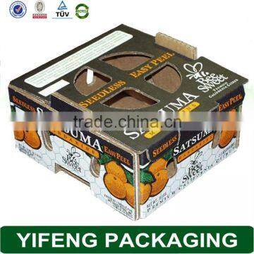 Corrugated Fruit Packaging Box photo-3