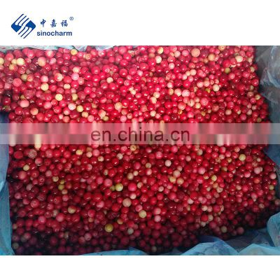 IQF Lingonberry Fruit frozen Wild Lingonberry