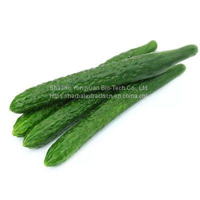 Cucumber Extract 10:1 TLC, Cucumber fruit powder, Cucumis sativus fruit Extract Powder, Manufacturer, Yongyuan Bio