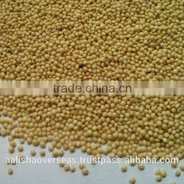 Amaranthus Seeds photo-2