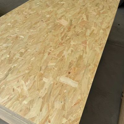 Hot Sale OSB Boards glue E0/E1/E2 Grade Manufacture for Furniture