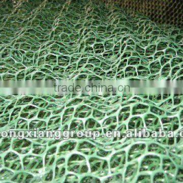 China top technology 3D geonet