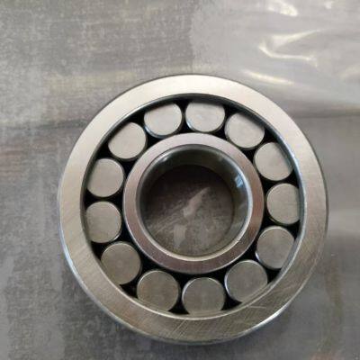 Full Complement Cylindrical Roller Bearing, High Load Low Noise for Premium Automotive Transmission