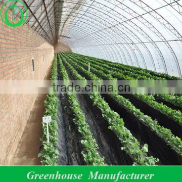 steel greenhouse for agriculture