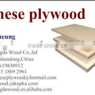 Top Quality Film Faced Plywood photo-6