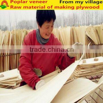 High quality poplar veneer