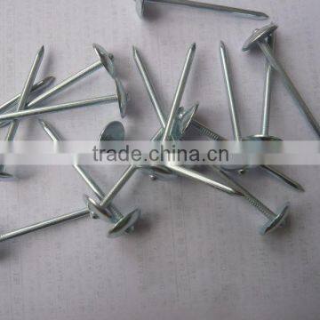 roofing nails for shingles