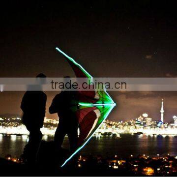 beautiful led kites