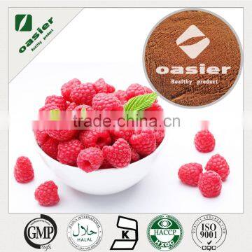 High Quality Best Price Organic Raspberry Fruit Powder