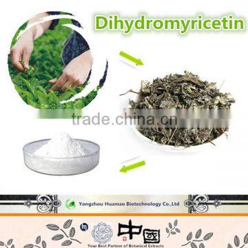 Manufacturer supply free sample Vine Tea Extract organic DHM Dihydromyricetin