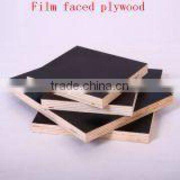 Film Faced Plywood, Black Film Faced Plywood photo-5