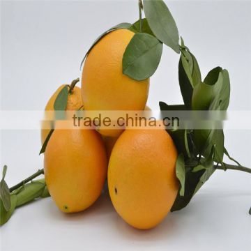 New Crop Navel Orange