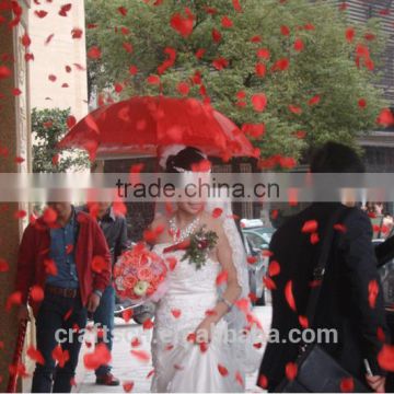 confetti gun for wedding