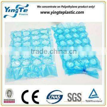 Google Made in China Hot Sale Portable Dry Ice Bags photo-4