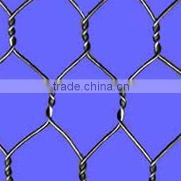 Galvanized Hexagonal Wire Mesh