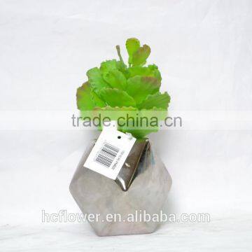 Real touch artificial succulent for home decoration