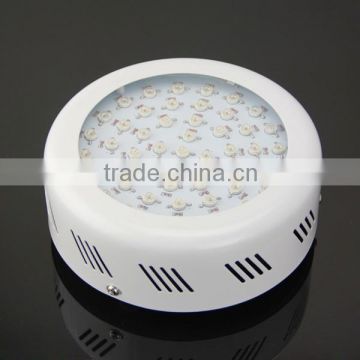 Dual spectrum led grow light 50w ufo led red blue grow light for led hoticulture lighting