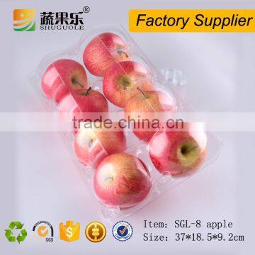 Wholesale plastic apple fruit packaging box manufacturer