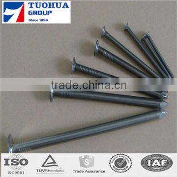 common iron wire nail BWG 11/ High Quality Common Nail From Factory