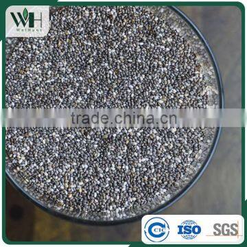 Paraguayan Black Chia Seed Manufacturer photo-4