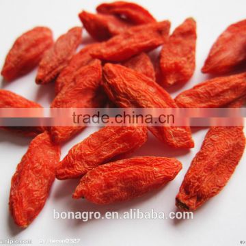 2013 NingXia Goji Berry