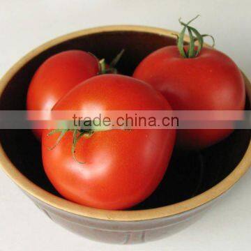 canned pickled tomato in jars