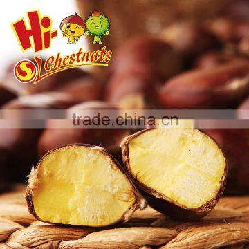 New Crop Organic Bulk Fresh Chestnuts for Sale photo-2