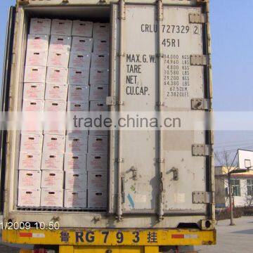 Fresh Ginger photo-4