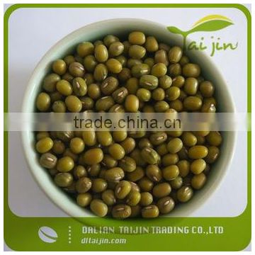 High Quality Green Mung Bean for Sprouting Use