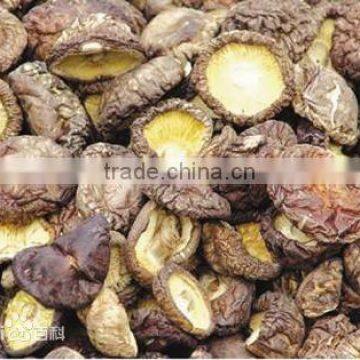 2015 shiitake mushroom/champignon/Mushrooms/Chinese mushroom