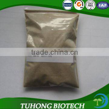 Plant Source Amino Acid Chelated Zn Fertilizer with lowest Price