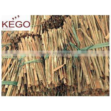 Cinnamon with Competitive price and good price