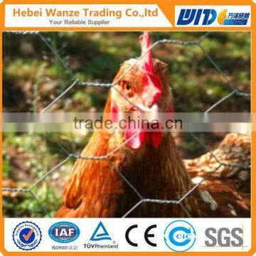 2016 Hot sale chicken coop hexagonal wire mesh / hexagonal wire mesh rabbit cage chicken fence / hexagonal decorative mesh