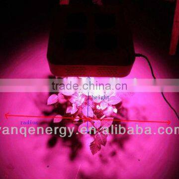 Vanq Classical 600W COB Led Grow Plant Light for Green Farm Hydroponics photo-2
