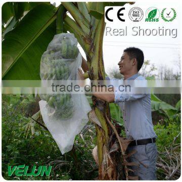 PP Nonwoven Fabric Fruit Bag photo-2