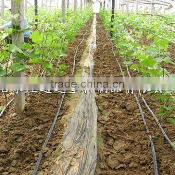 Drip Irrigation Tape With Flat Emitter photo-2