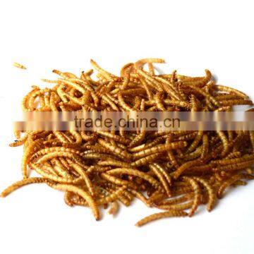 100% natural and high quality fish feed dried mealworms