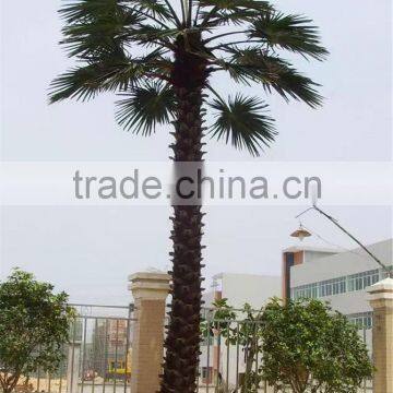 SJ12001204 Plastic Palm Tree/ Big Palm Tree/home Garding Indoor Palm Tree photo-3