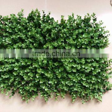 CHY060852 Guangzhou Shengjie Whoesale Artificial Boxwood Green Hedge Interior & Exterior Wall Paneling photo-4