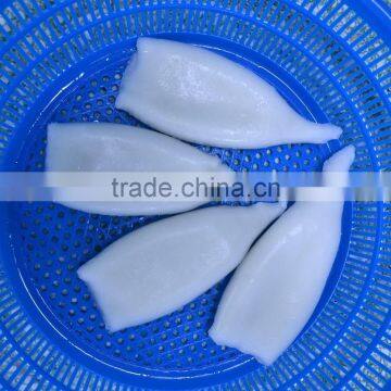 Wholesale Frozen Seafood Squid Tube