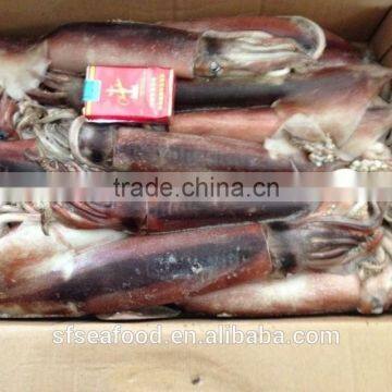 Chicharon of Japanese Squid photo-2