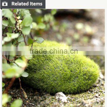 Buy Direct From China Manufacturer Roof Gardening Moss Stone photo-3